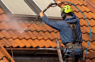 Démoussage et hydrofuge de toiture à Tercé